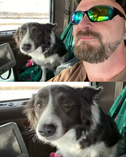 I FOUND AN ABANDONED DOG ON THE HIGHWAY—AND HE SAVED MY LIFE