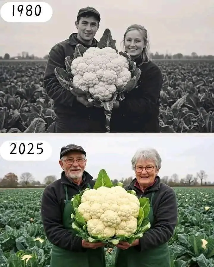 Long-lasting Love: Couples Share Their Secrets to a Successful Marriage…