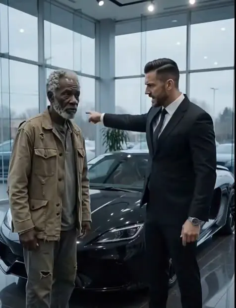 Salesman Ordered an Older Customer Out—Then Learned Who Owned the Showroom