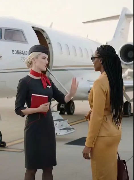 Black CEO Denied Boarding Her Own Jet — 14 Minutes Later, She Fires the Entire Crew